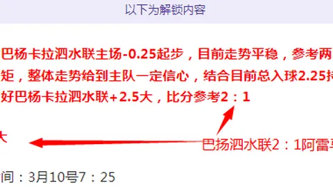 英超激战：西汉姆联迎埃弗顿，谁能笑傲赛场？